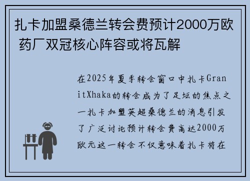 扎卡加盟桑德兰转会费预计2000万欧 药厂双冠核心阵容或将瓦解