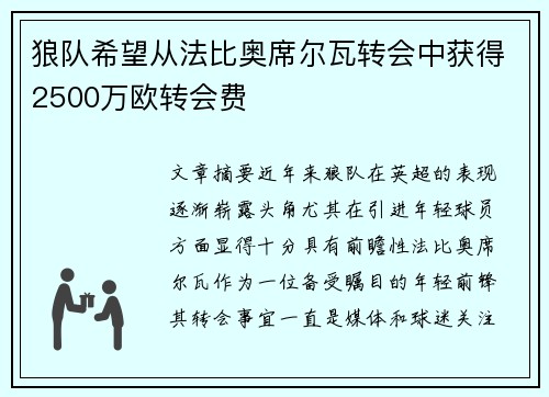 狼队希望从法比奥席尔瓦转会中获得2500万欧转会费